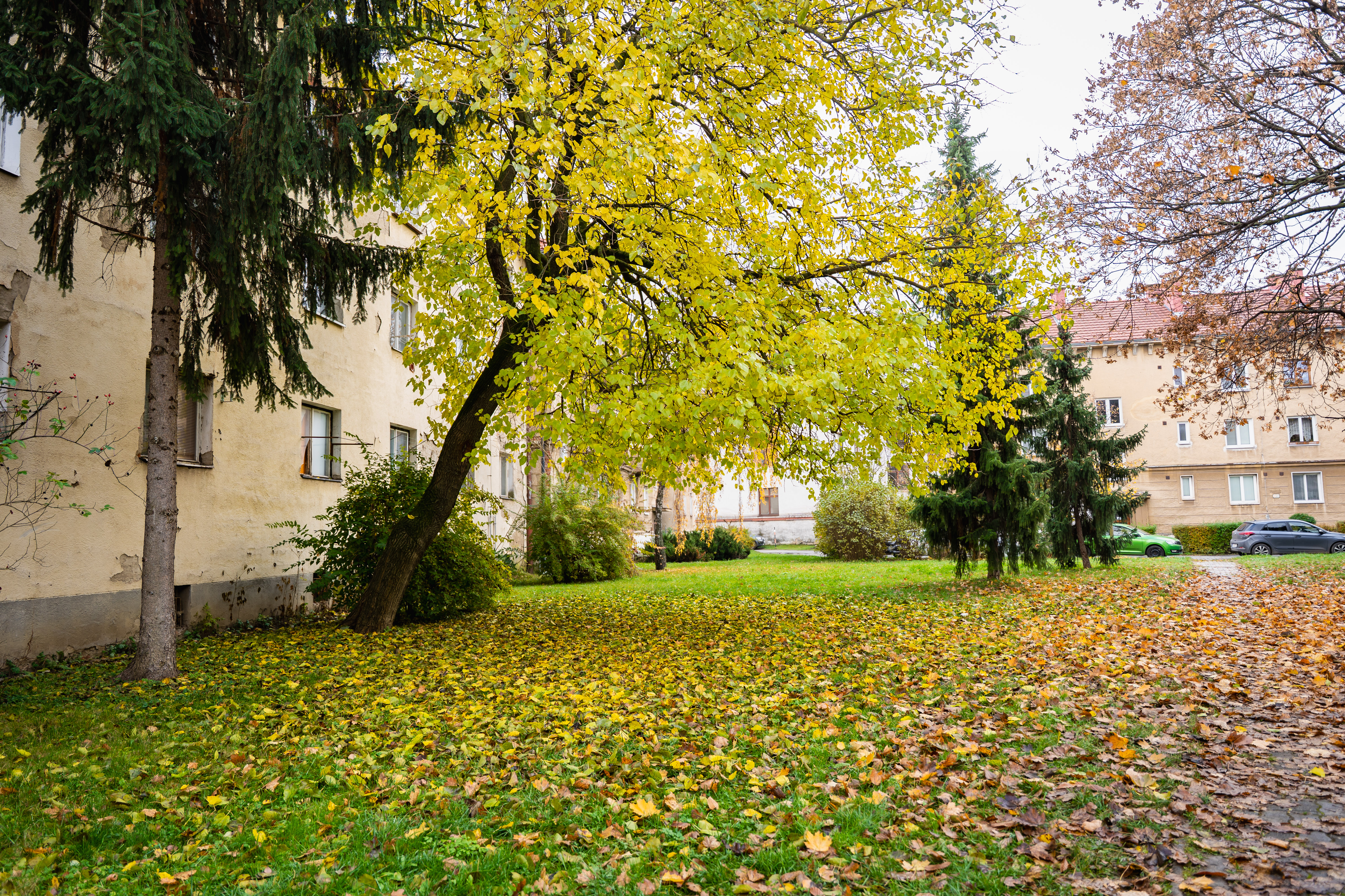 Odovzdanie staveniska - Pasteurovo nam.-37